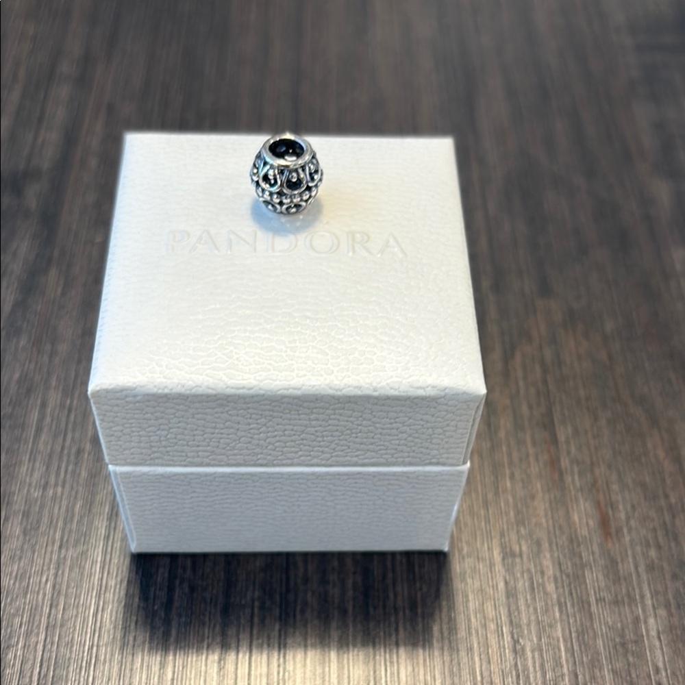 Pandora Silver Charm for Bracelets NWOT